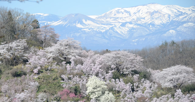 浄土平・吾妻山